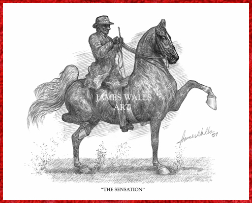 saddlebred horse coloring pages - photo #22